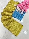 DF 125 Inspire Kota Doriya With Digital Printed Non Catalog Sarees